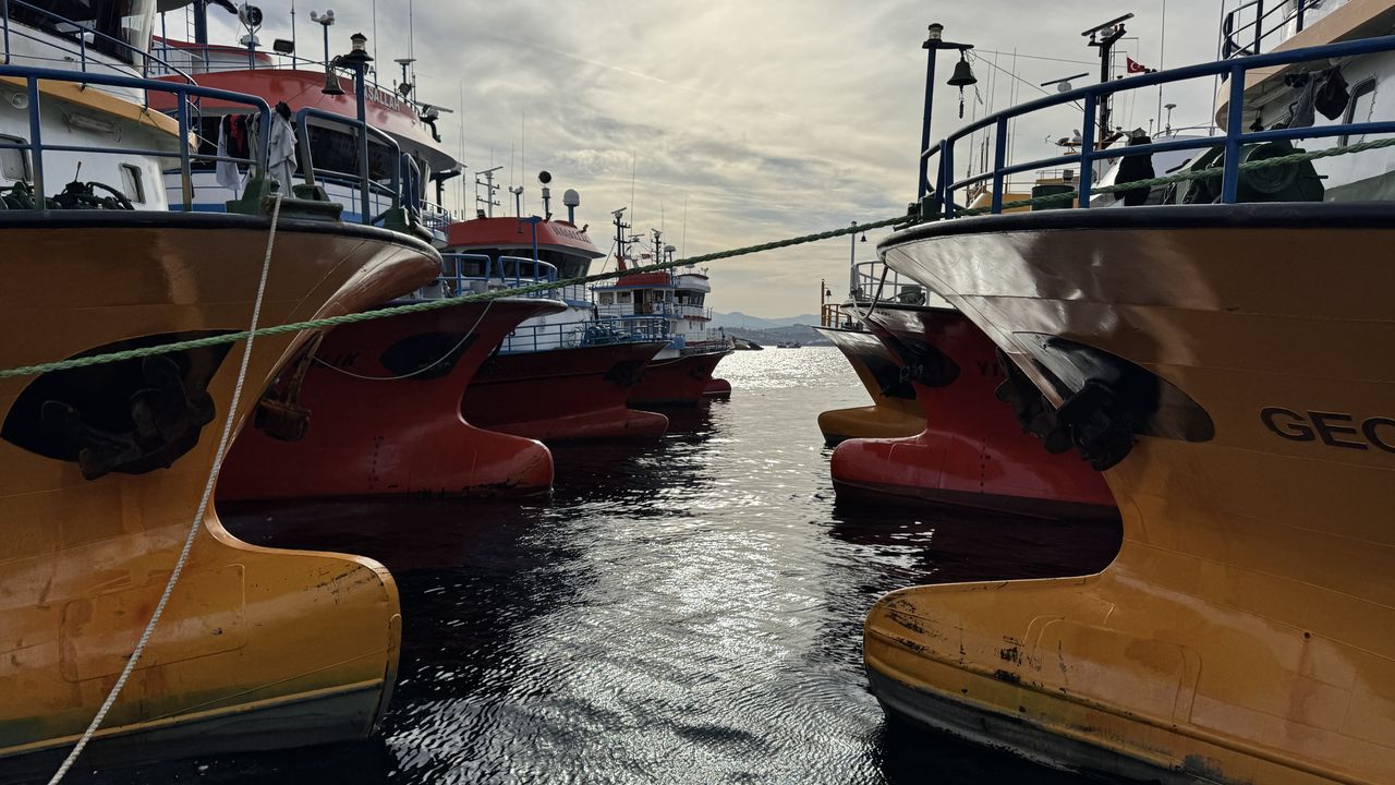 Balıkçıların Karadeniz'deki hamsi avı sürüyor