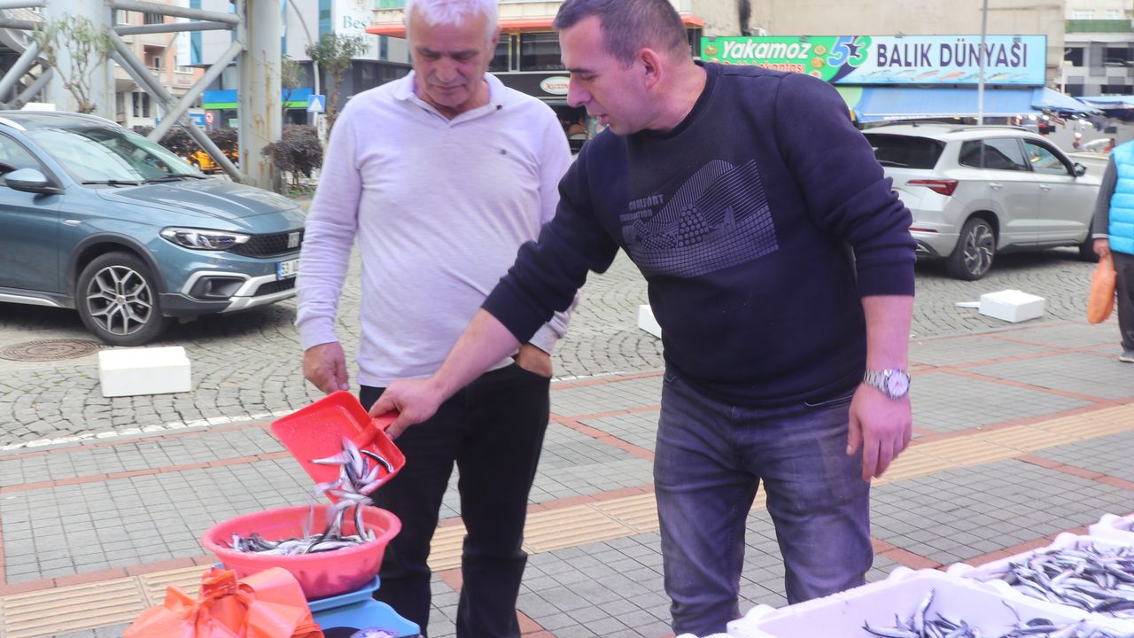 Rize'de balık tezgahlarında hamsi bolluğu yaşanıyor