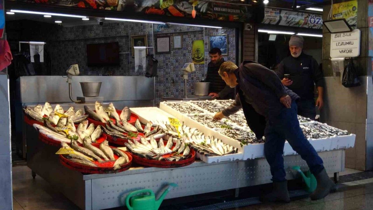 Palamut sezonu başlamadan bitti, umutlar seneye kaldı