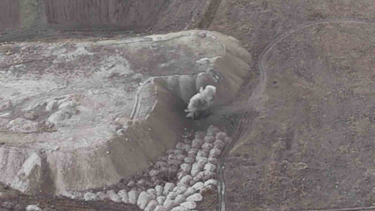 Top mermileri kontrollü olarak imha ediliyor