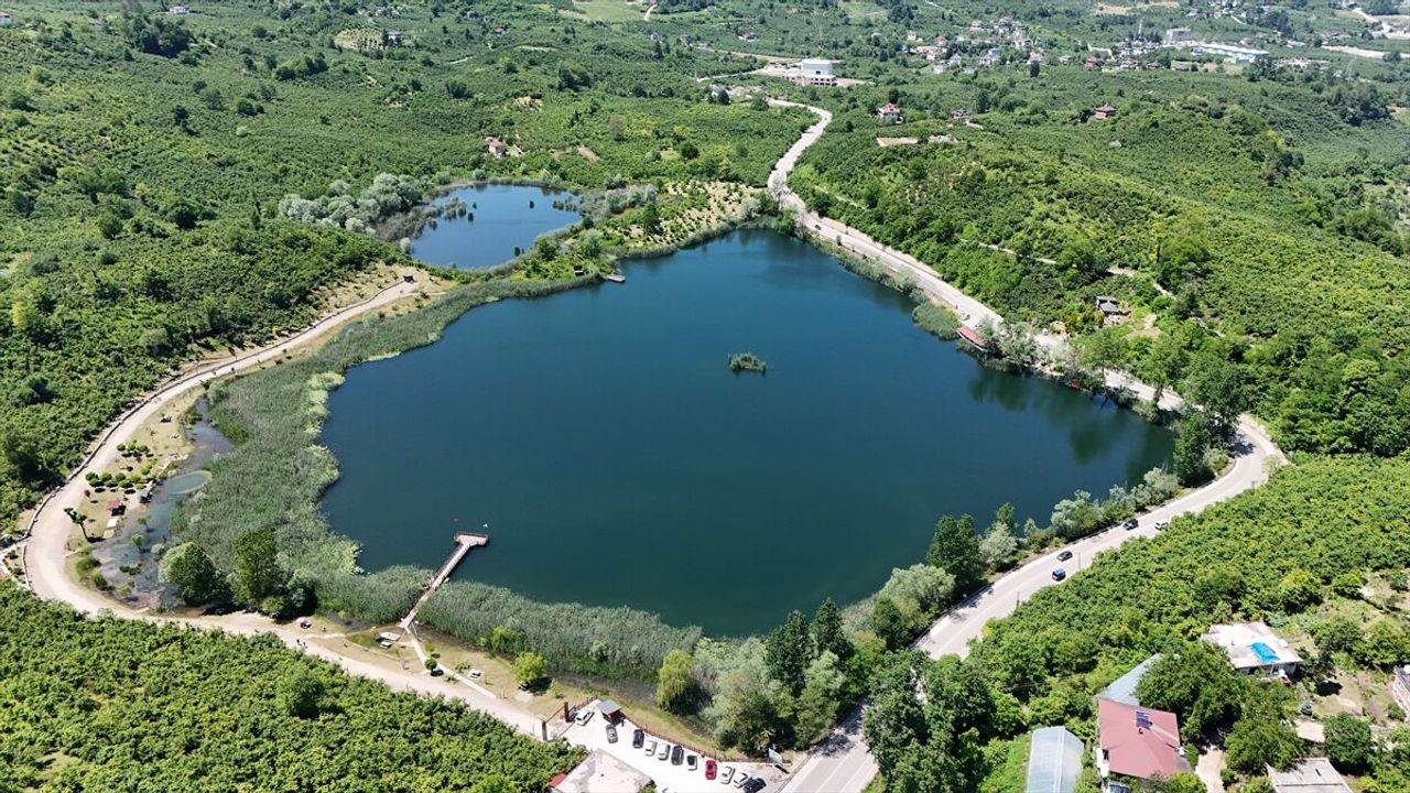 Ordu'daki Gaga Gölü, doğaseverlere nefes oldu