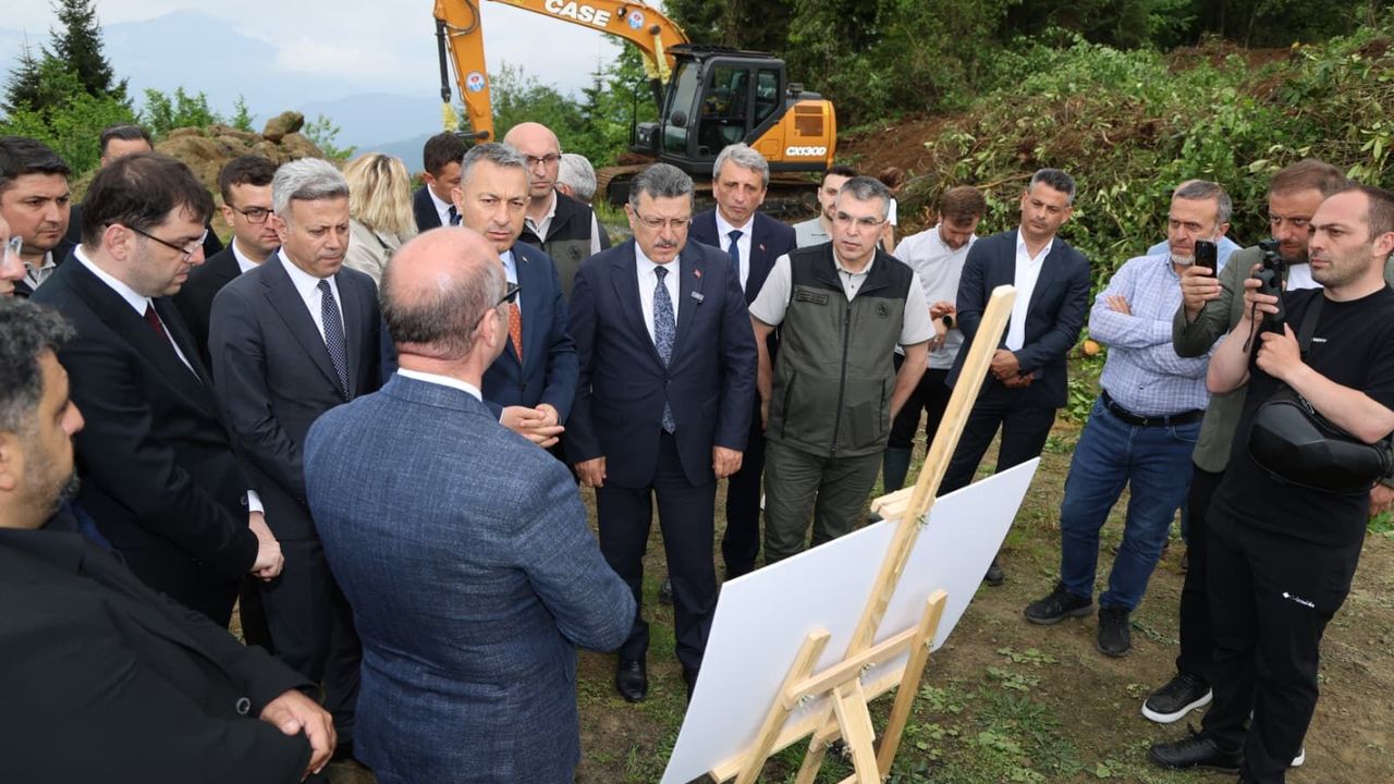 Trabzon'da sahipsiz hayvanlar için doğal yaşam alanının yapı