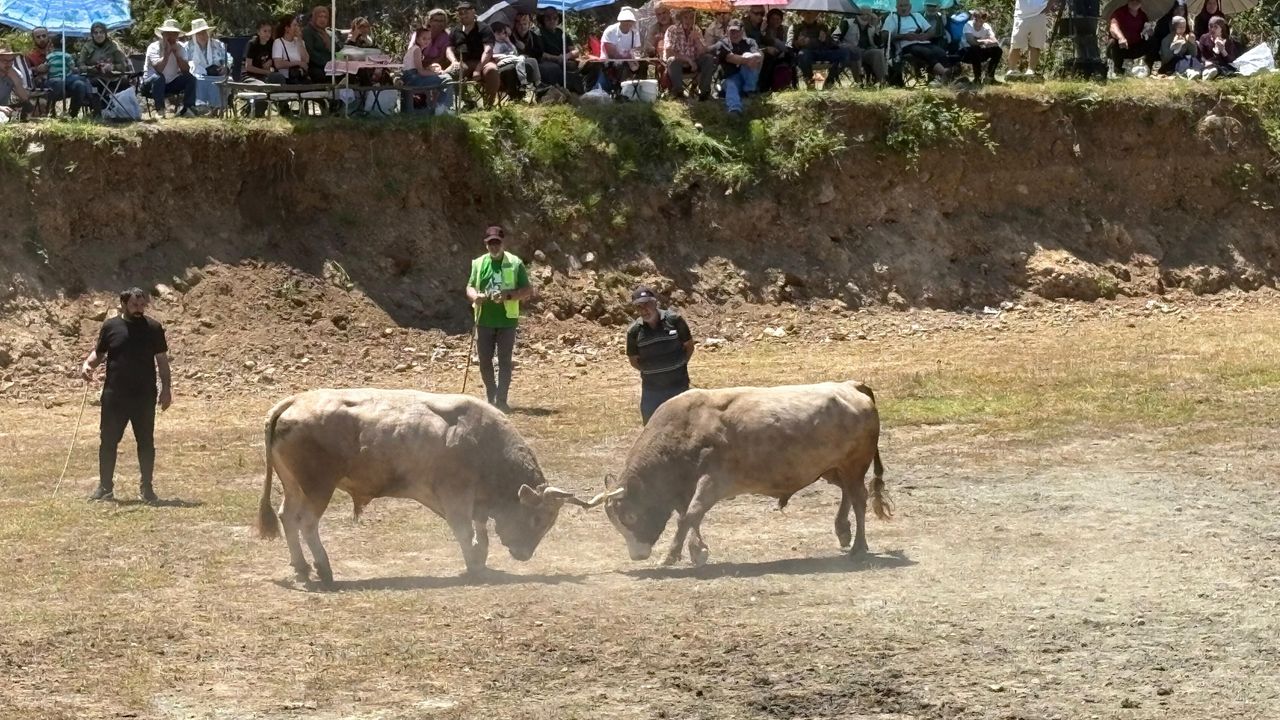Şampiyonlar Belli Oldu