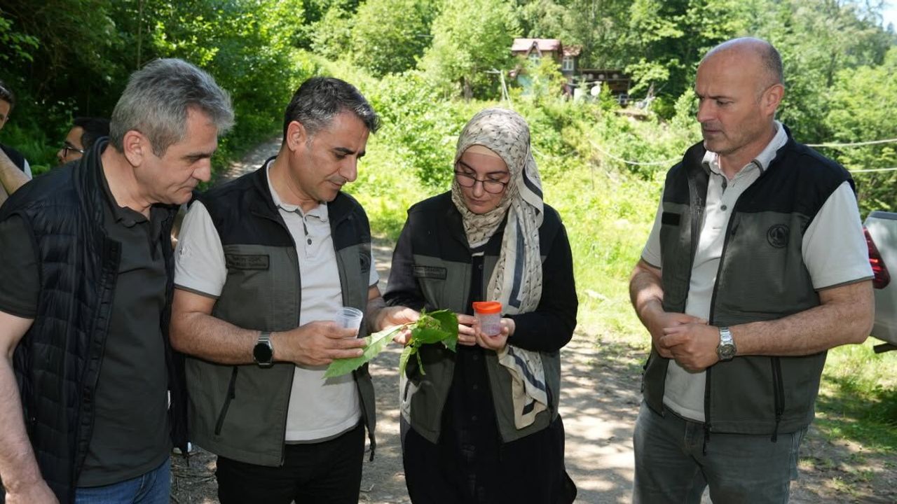 5 Bin Samuray Arısı Salındı