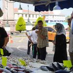 Hamsi için geri sayım başladı: Balıkçılar yolunu gözlüyor
