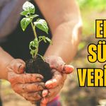 Hibe Başvurularında Süre Uzatıldı