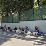 Boyu küçüldükçe fiyatı artıyor