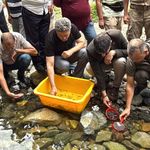 Rize'de derelere 25 bin kırmızı benekli alabalık salındı