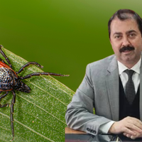 SAĞLIK