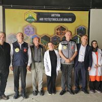ARTVİN