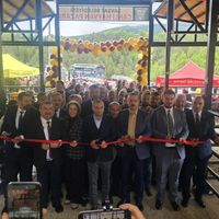 ŞAVŞAT
