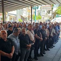 ARHAVİ