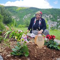 ARDANUÇ