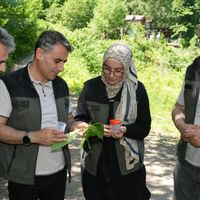 ARTVİN