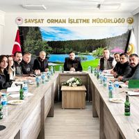 ŞAVŞAT