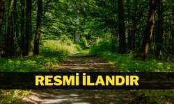 ORMAN YOLU YAPIMI