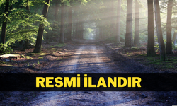 ORMAN YOLU YAPTIRILACAKTIR