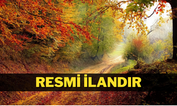BORÇKA KARAGÖL TABİAT PARKI YOLU ONARIMI VE SANAT YAPILARI YAPIM İŞİ