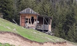 Ayı, yiyecek aramak için Fıstıklı Köyü yayla evlerine girdi