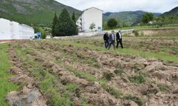 Artvin’de Tarım Meslek Liseleri açılıyor