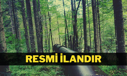 SU YAPILARI YAPTIRILACAKTIR