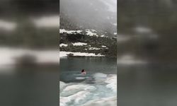 Buzla kaplı gölde yüzdü