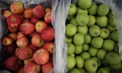 Türkiye mayısta 249,3 milyon dolarlık yaş meyve sebze ihraç etti
