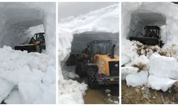 Arhavi yaylalar yolunda kar tüneli kazıldı, yol ulaşıma açıldı