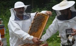 Balın kilogram maliyeti beli oldu