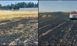 Buğday ekili tarlada çıkan yangında 15 dönüm alan zarar gördü