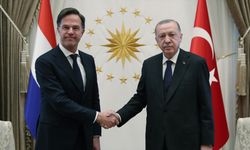 Cumhurbaşkanı Erdoğan, Hollanda Başbakanı Rutte ile telefonda görüştü