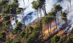 İtalya'da orman yangınları devam ediyor