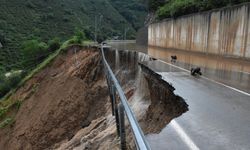 Karadeniz'de heyelanlar meydana geldi