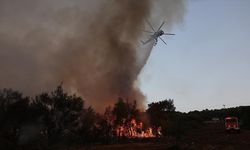 "Kuzey yarım küredeki orman yangınları 40 kişinin ölümüne neden oldu"