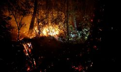 Kemer'de çıkan orman yangınına müdahale sürüyor