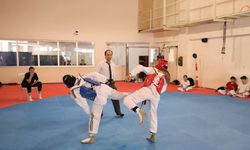 Taekwondo il birinciliği yapıldı