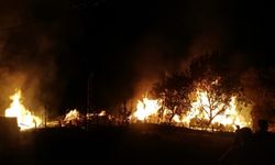 5 evi saran yangına müdahale ediliyor
