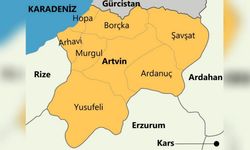 Artvin için sel uyarısı