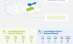 Çoruh ve Fırat Bölgelerinde Elektrik Tüketiminde Artış Kaydedildi