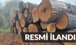 ORMAN EMVALİ İSTİFLEME İŞİ