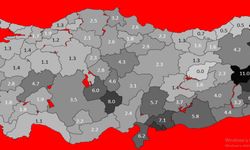 Artvin’de çocuk evliliği oranı açıklandı