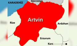 Artvin’de ölenlerin sayısı açıklandı