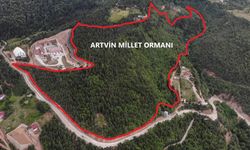 Artvin’de Millet Ormanı Çalışmaları Başladı