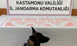 450 uyuşturucu hapla yakalandı