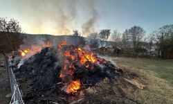 Karabük'te 4 samanlık yandı