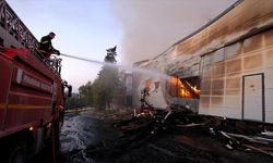 Kırklareli'nde ağaç işleme fabrikasında çıkan yangın kontrol altına alındı