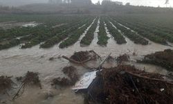 7 bin dönüm tarım arazisi zarar gördü