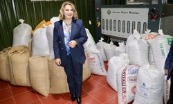 Trabzon'dan 10 ton organik fındık aldı