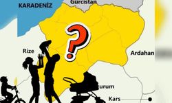 Yaşam Süresinin En Uzun Olduğu İllerde Artvin Kaçıncı Sırada?