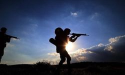 2 PKK'lı terörist etkisiz hale getirildi